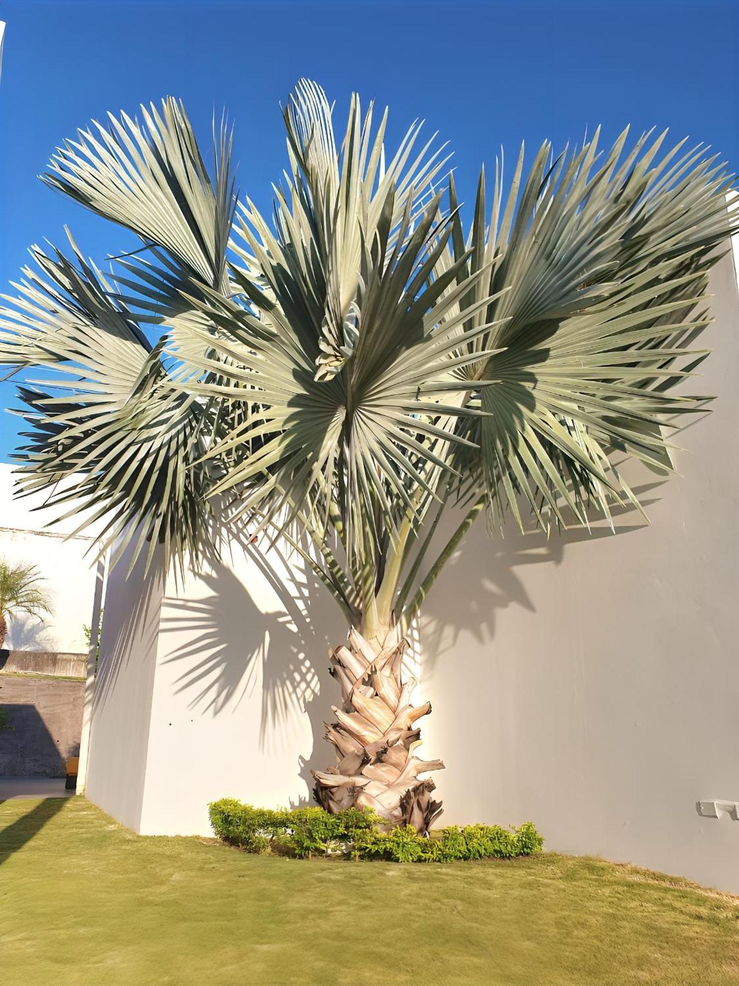 ריו האטו Beach Villa With Cozy Terrace מראה חיצוני תמונה